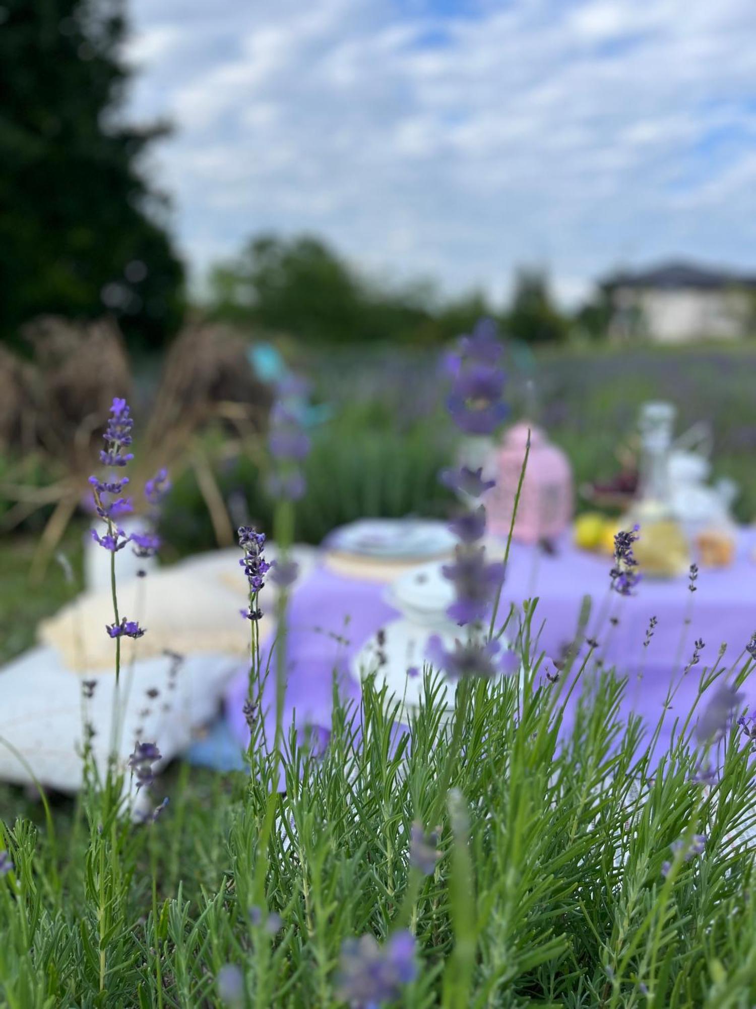 Lavender Village Kiemeliai Kültér fotó