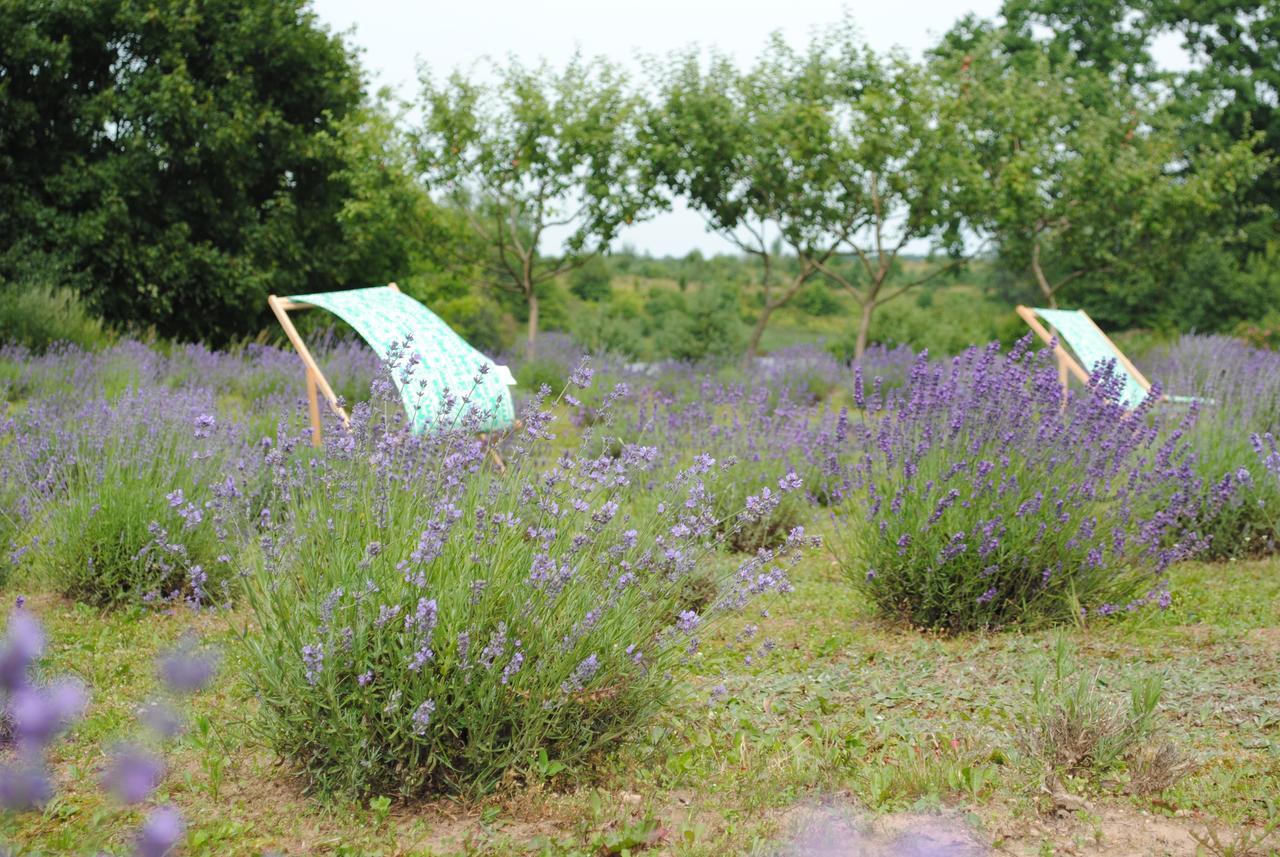 Lavender Village Kiemeliai Kültér fotó