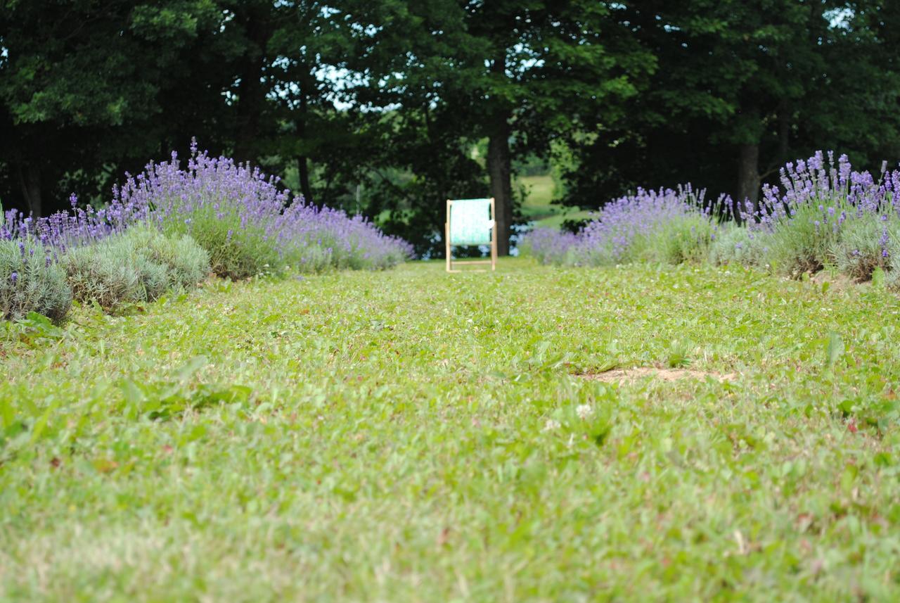 Lavender Village Kiemeliai Kültér fotó