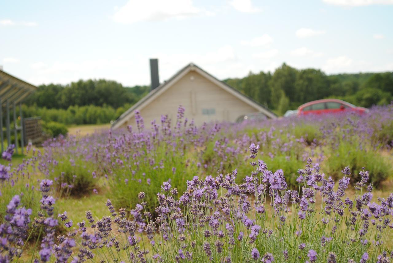 Lavender Village Kiemeliai Kültér fotó