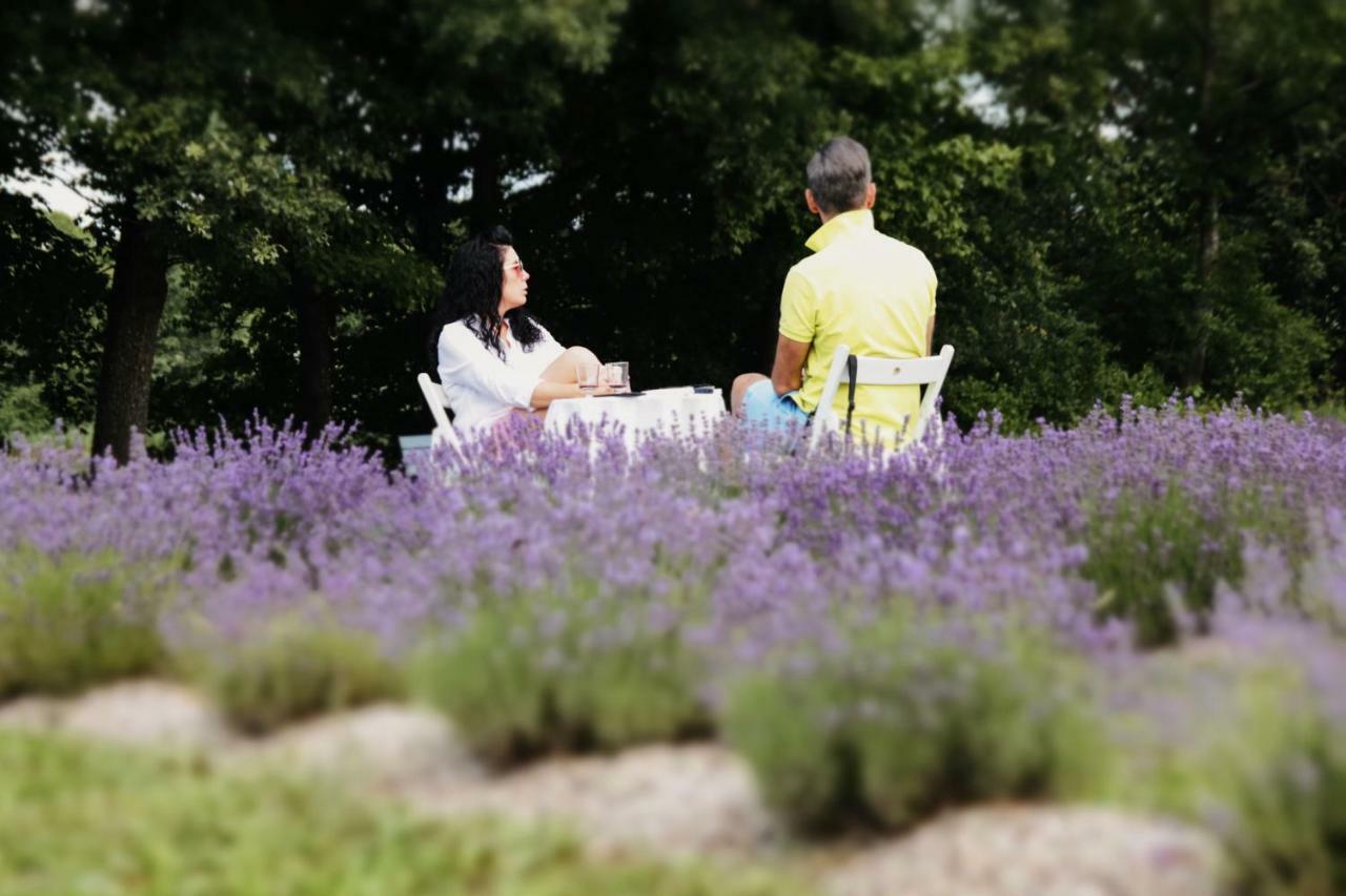 Lavender Village Kiemeliai Kültér fotó